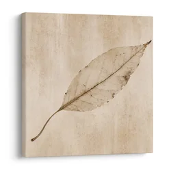 Slika minimalističen list v sepia slogu - 40x40