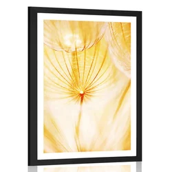Plakat s paspartujem regratova lučka v rumeni varianti - 40x60 black