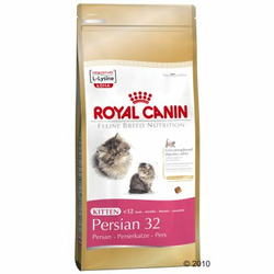 Royal Canin Persian Kitten - ekonomično pakiranje: 2 x 4 kg