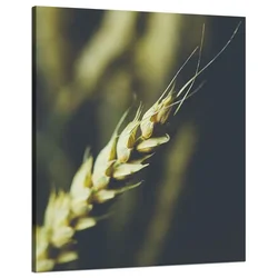 shumee Platno Botanika Pšenični klas 80x100 cm