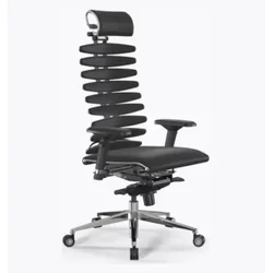 Equalizer Ergonomska stolica ( 7257 )