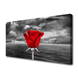 tulup.si Slika na platnu Rose flower rastlin morje 100x50 cm