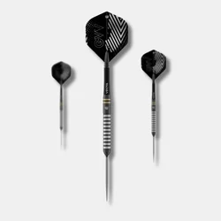 Steeldart puščice WINMAU | Gian van Veen TS | Switch Point