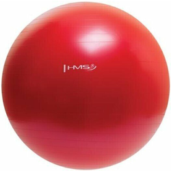 HMS YB01 Gymball Red 65 cm