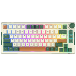 Royal Kludge RKH81 RGB wireless mechanical keyboard, Sky cyan switch (green)