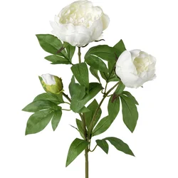 Veštačka Biljka 70cm Peonienzweig Iv