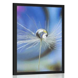 Plakat kapljica rose na barvnem ozadju - 40x60 silver