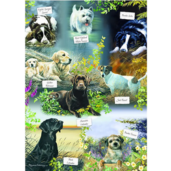 Otter House - Puzzle Mans Best Friend 1000 - 1 000 kosov