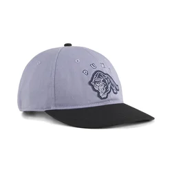 PUMA Vintage Low Curve Cap, Accessories, Gray Sky, OSFA