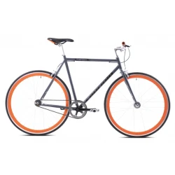 Capriolo Gradski bicikl Fastboy, Ram 580/28, Sivi