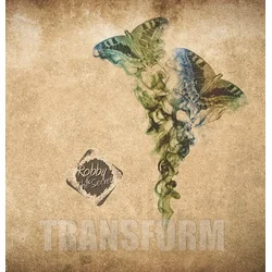Robby And The Secret - Transform (2 LP)