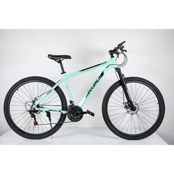 WINNER BIKE BIC. 29/21 MAXIMUS GREEN