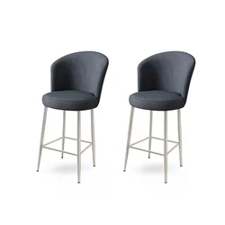 Hanah Home Set barskih stolica Fora, 2 komada, Antracit