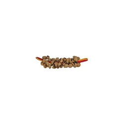 Seedshaker na traku Pangi kos 384418-PG