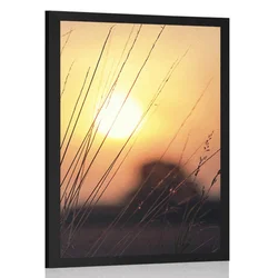 Plakat sončni vzhod nad travnikom - 20x30 no frame