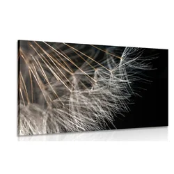 Slika lepota regratove lučke - 60x40