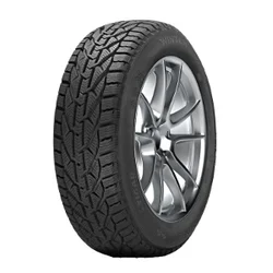 Riken Snow ( 195/55 R16 87T )