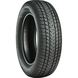 Gripmax Suregrip eWinter ( 215/55 R17 98V XL )