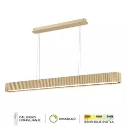 LED viseća lampa F2095-100VL SG