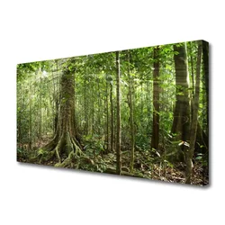 tulup.si Slika na platnu Narava jungle forest trees 100x50 cm