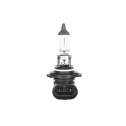 Sijalica 12V H10 42W BOSCH