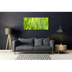 tulup.si Slika na steklu Grass pikapolonica narava 120x60 cm 4 obešalnika