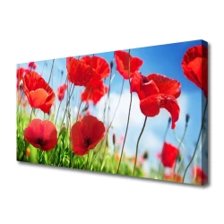 tulup.si Slika na platnu Rastlinskih mak naravi 125x50 cm