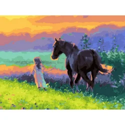 Slika po brojevima Na poljani, 30x40 cm