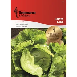 Seme solata Leda