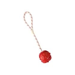Trixie Lopta i Kanap za Plivanje 7cm/35cm – Prirodna Guma