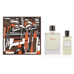 Hermes Terre D´ Hermes - EDT 100 ml + sprchový gel 80 ml