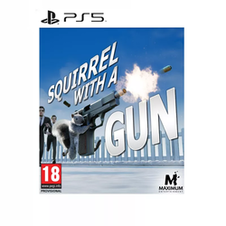 PS5 Squirrel With A Gun