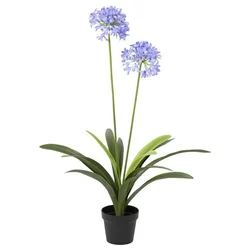 Ambia Home UMETNA RASTLINA 80/105 cm
