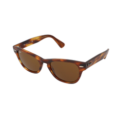 Ray-Ban Laramie RB2201 954/33