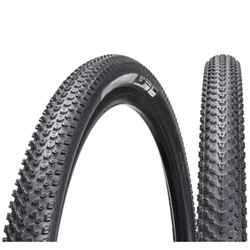 Chaoyang sp. guma - 29x2.0 h-5129 ( 124943 )