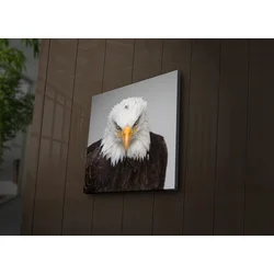 Zidna slika sa LED osvjetljenjem 4040IACT-41, 40x40 cm
