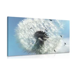 Slika detajl regratove lučke - 40x30