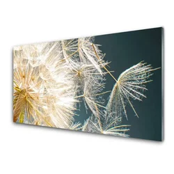 tulup.si Slika na steklu Dandelion rastlin 120x60 cm 2 obešalnika