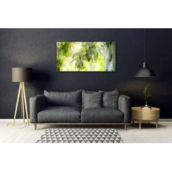 tulup.si Slika na steklu Apple tree branch narava 125x50 cm 2 obešalnika
