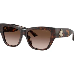 Jimmy Choo Naočare za sunce JC 5039BU 500213