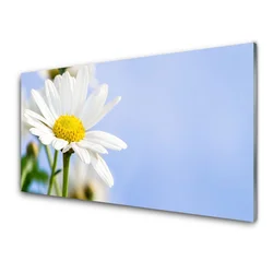 tulup.si Slika na steklu Daisy rastlin narava 100x50 cm 4 obešalnika