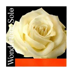 Struna E Wondertone Solo violina 4/4 medium Pirastro