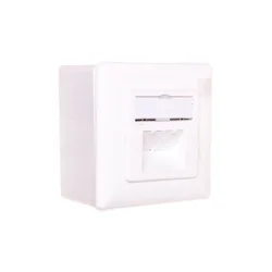Assmann Nadometna vtičnica za podatkovno komunikacijo 2x RJ45 STP kat. 6 DN-9006-N