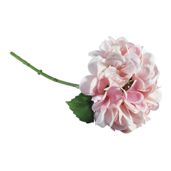 Rayher Hortenzija, sv.roza, 33cm, (20728287)
