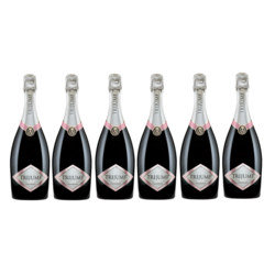 Vinarija Aleksandrović Trijumf Rose penušavo vino, paket vina, 6 boca