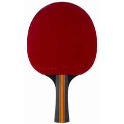 Stiga Lopar za namizni tenis Vision
