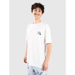 Quiksilver DNA Bubble Logo Lycra white