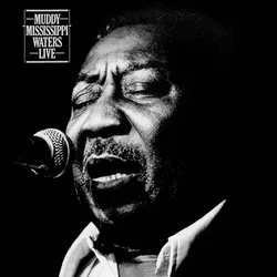 Muddy Waters - Muddy Mississippi Waters