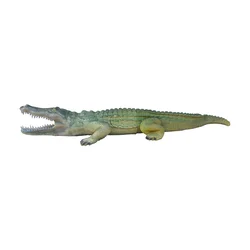 Eleven Target 3D Crocodile with Insert