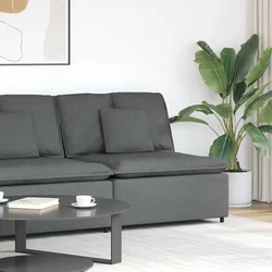 vidaXL Modularni kavč z blazinami temno siv 100 cm